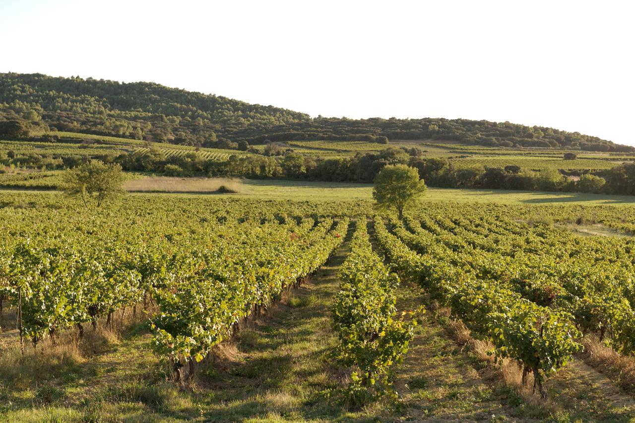 Domaine De Pelican Gignac  Exterior photo