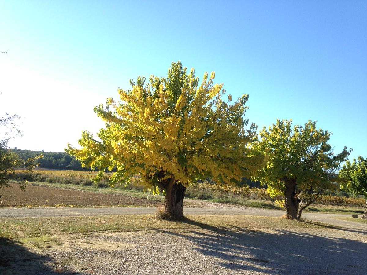 Domaine De Pelican Gignac  Exterior photo